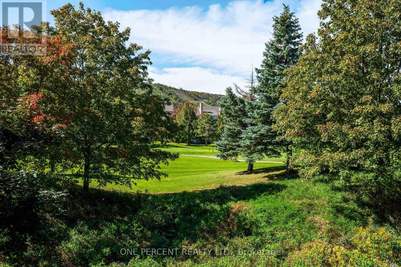 210 - 110 Fairway Court, Blue Mountains, Ontario  L9Y 0P8 - Photo 32 - X13827736