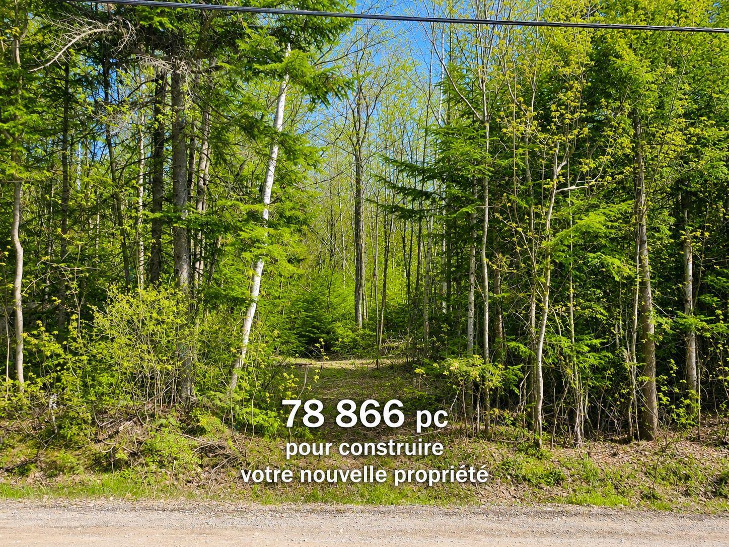 Ch. du Domaine Notre-Dame-de-la-Merci Quebec Canada J0T2A0 5