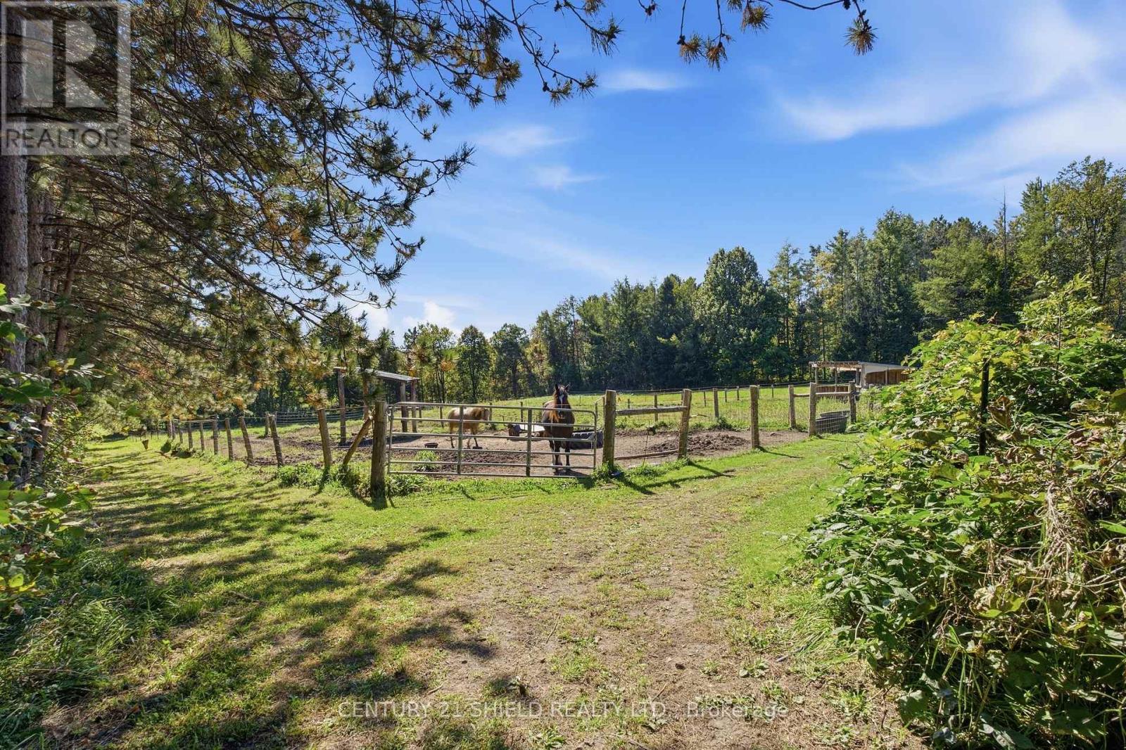 19770 County Road 25 Road, South Glengarry, Ontario  K0C 1L0 - Photo 6 - X13832562