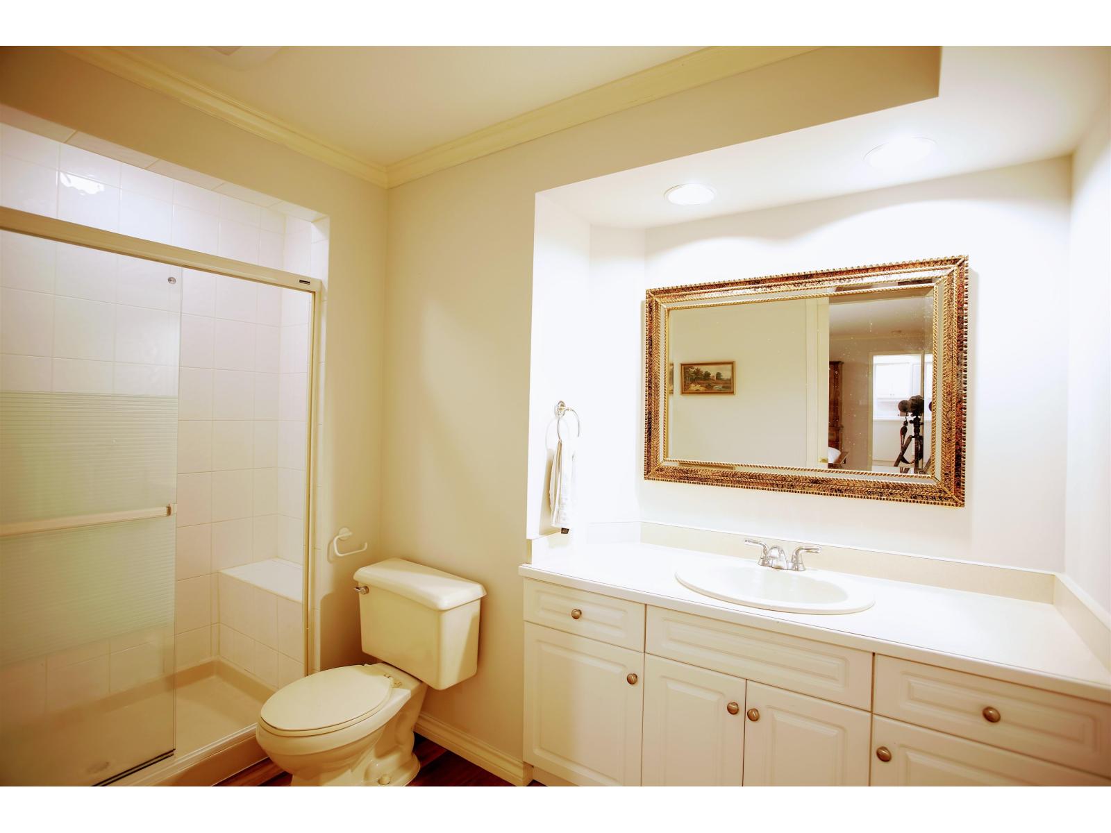 Basement-10958 163 Street, Surrey, British Columbia  V4N 1N8 - Photo 12 - R3169905