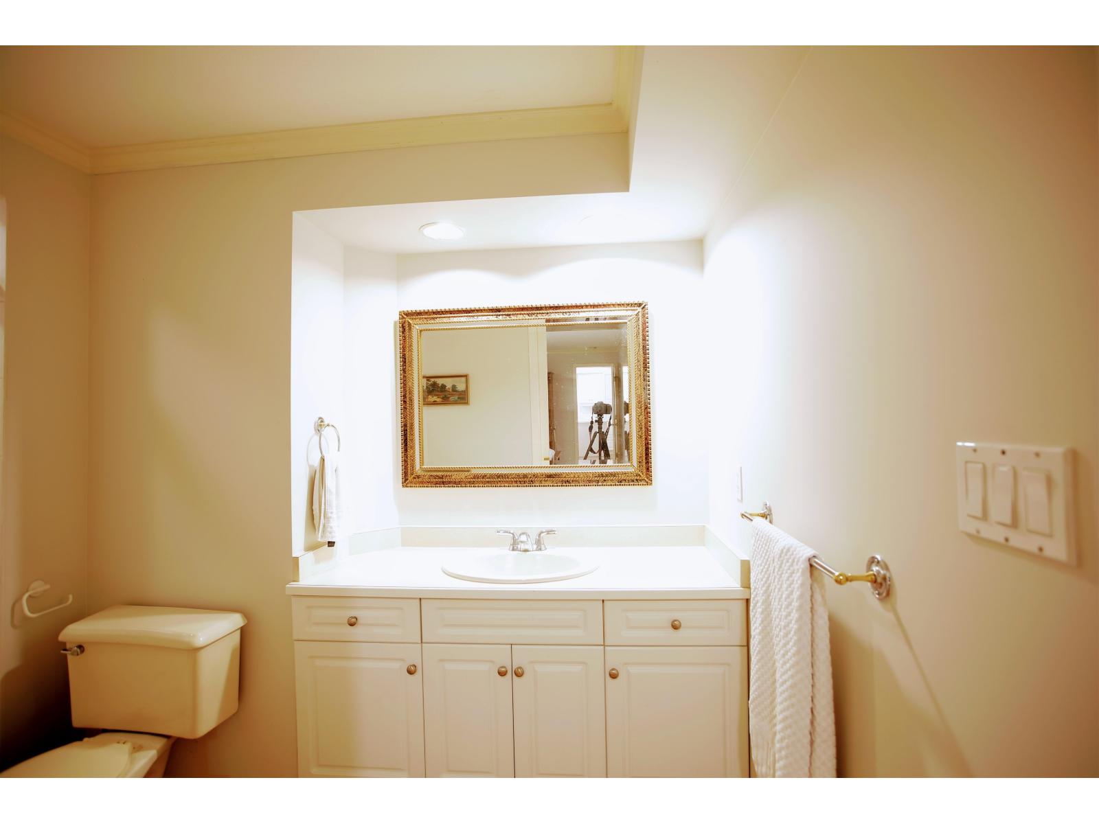 Basement-10958 163 Street, Surrey, British Columbia  V4N 1N8 - Photo 13 - R3169905