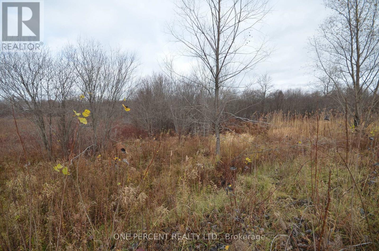 0 Loch Garry Road, North Glengarry, Ontario  K0C 1B0 - Photo 9 - X13832736