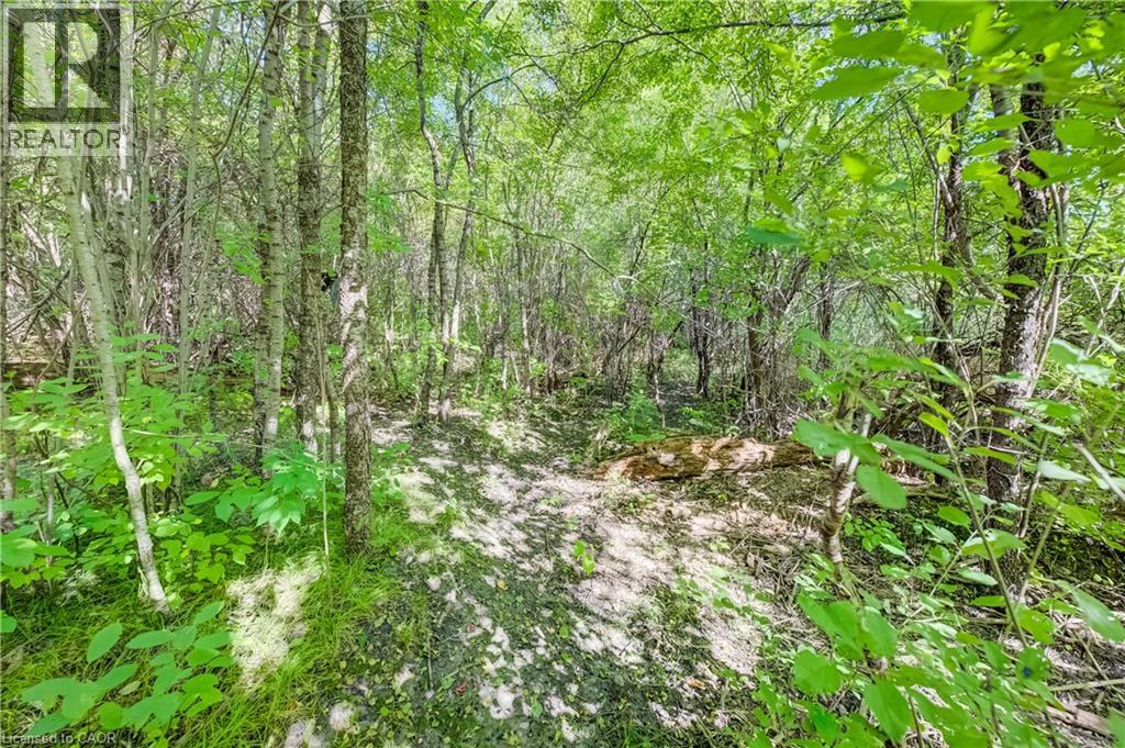 108 Lake Road, Puslinch, Ontario  N3C 2V4 - Photo 41 - 40866077