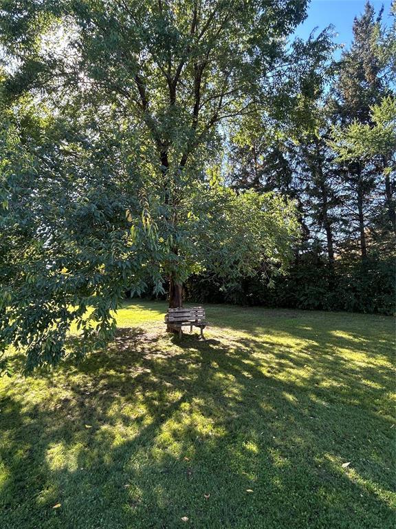 941 Third Avenue, Carberry, Manitoba  R0K 0H0 - Photo 22 - 202624261