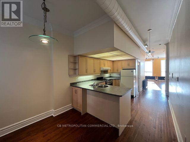 401 Spadina Avenue, Toronto, Ontario  M5T 2G6 - Photo 9 - C13833158
