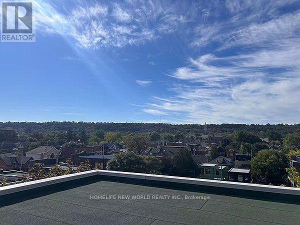 25 - 357 Hunter Street W, Hamilton, Ontario  L8P 1S6 - Photo 20 - X13833154