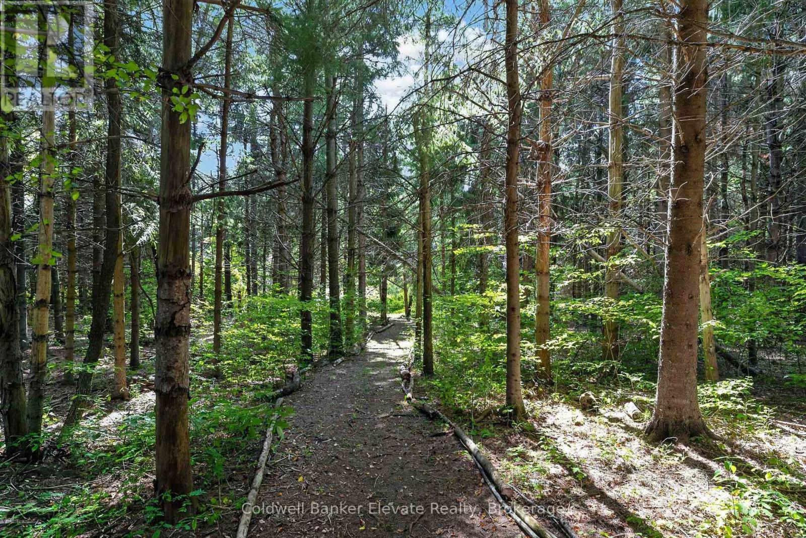5126 Ninth Line, Erin, Ontario N0B 1T0 - Photo 11 - X13629578