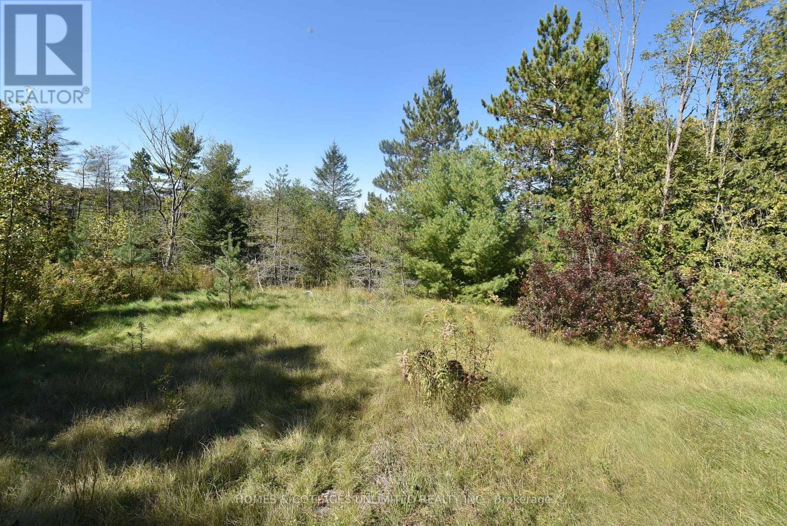 1031 Lookout Hill Road, North Frontenac, Ontario  K0H 2M0 - Photo 14 - X13833188