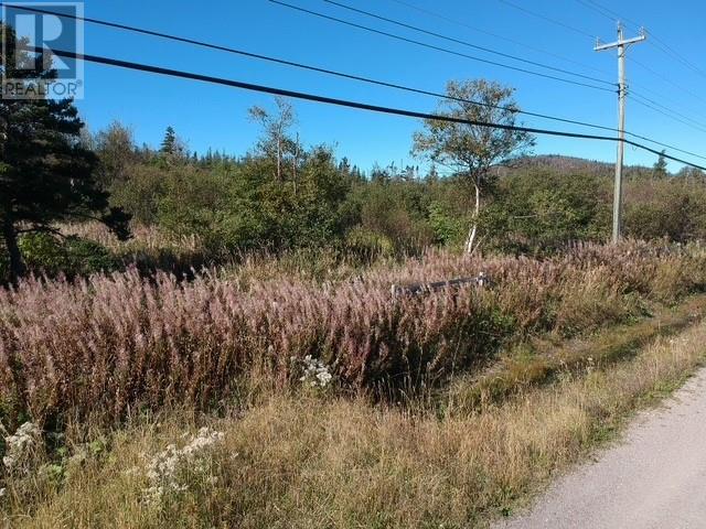 174 Pond Road, Rocky Harbour, Newfoundland & Labrador