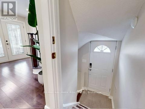 Bsmt - 238 Rumble Avenue, Richmond Hill, Ontario  L4C 4G7 - Photo 2 - N13833228