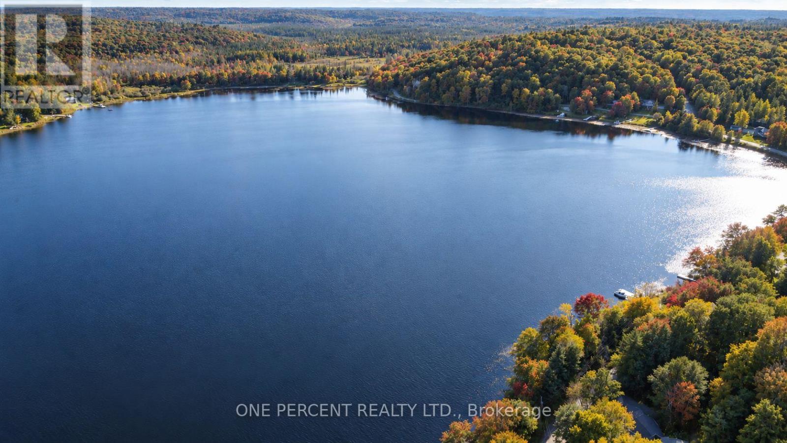 116 North Deer Lake Road, Huntsville, Ontario  P0B 1L0 - Photo 46 - X13833264