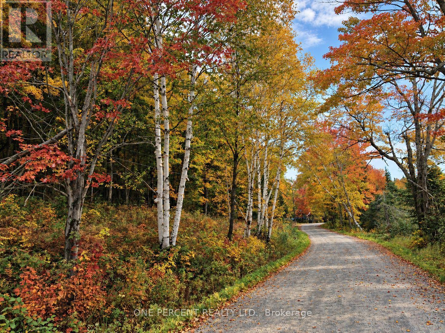 116 North Deer Lake Road, Huntsville, Ontario  P0B 1L0 - Photo 47 - X13833264