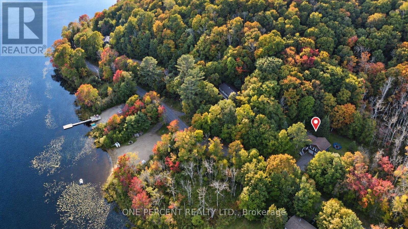 116 North Deer Lake Road, Huntsville, Ontario  P0B 1L0 - Photo 5 - X13833264