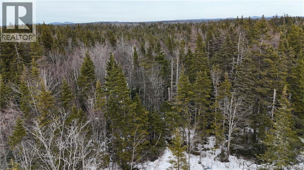 Goldsworthy Road, Black River, New Brunswick  E2J 4V1 - Photo 7 - NB148558