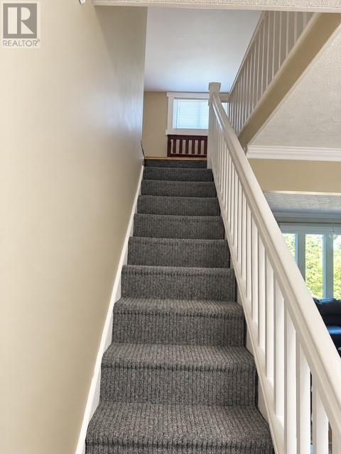 325 Creston Boulevard, Marystown — photo 18