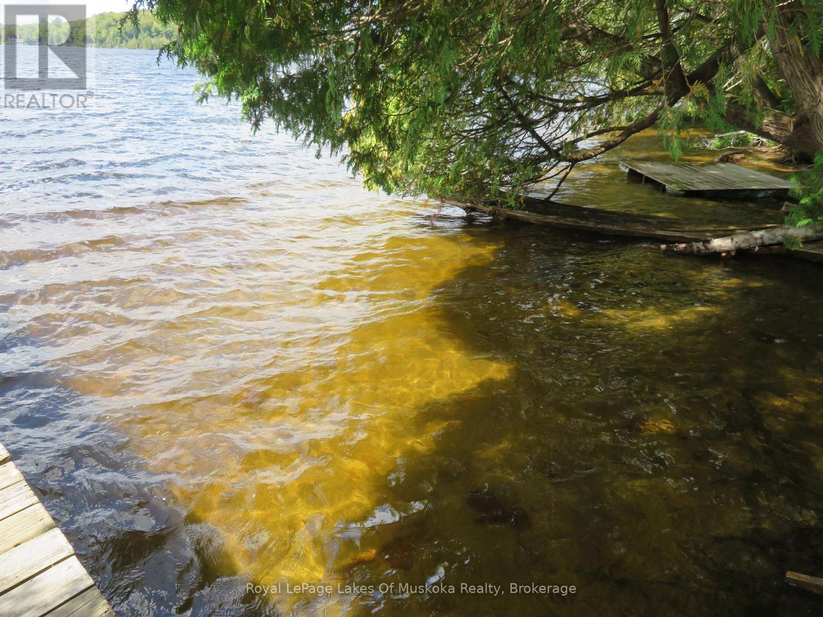 1071 Dotty Lake Road, Lake Of Bays, Ontario  P0A 1H0 - Photo 10 - X13760060