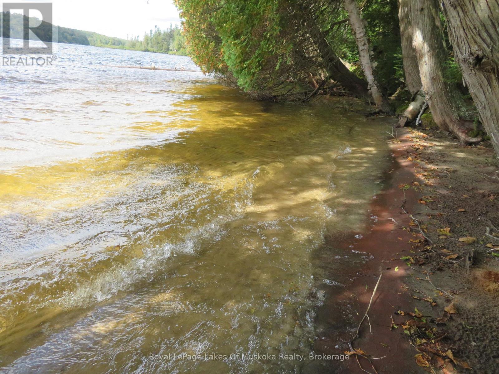 1071 Dotty Lake Road, Lake Of Bays, Ontario  P0A 1H0 - Photo 12 - X13760060