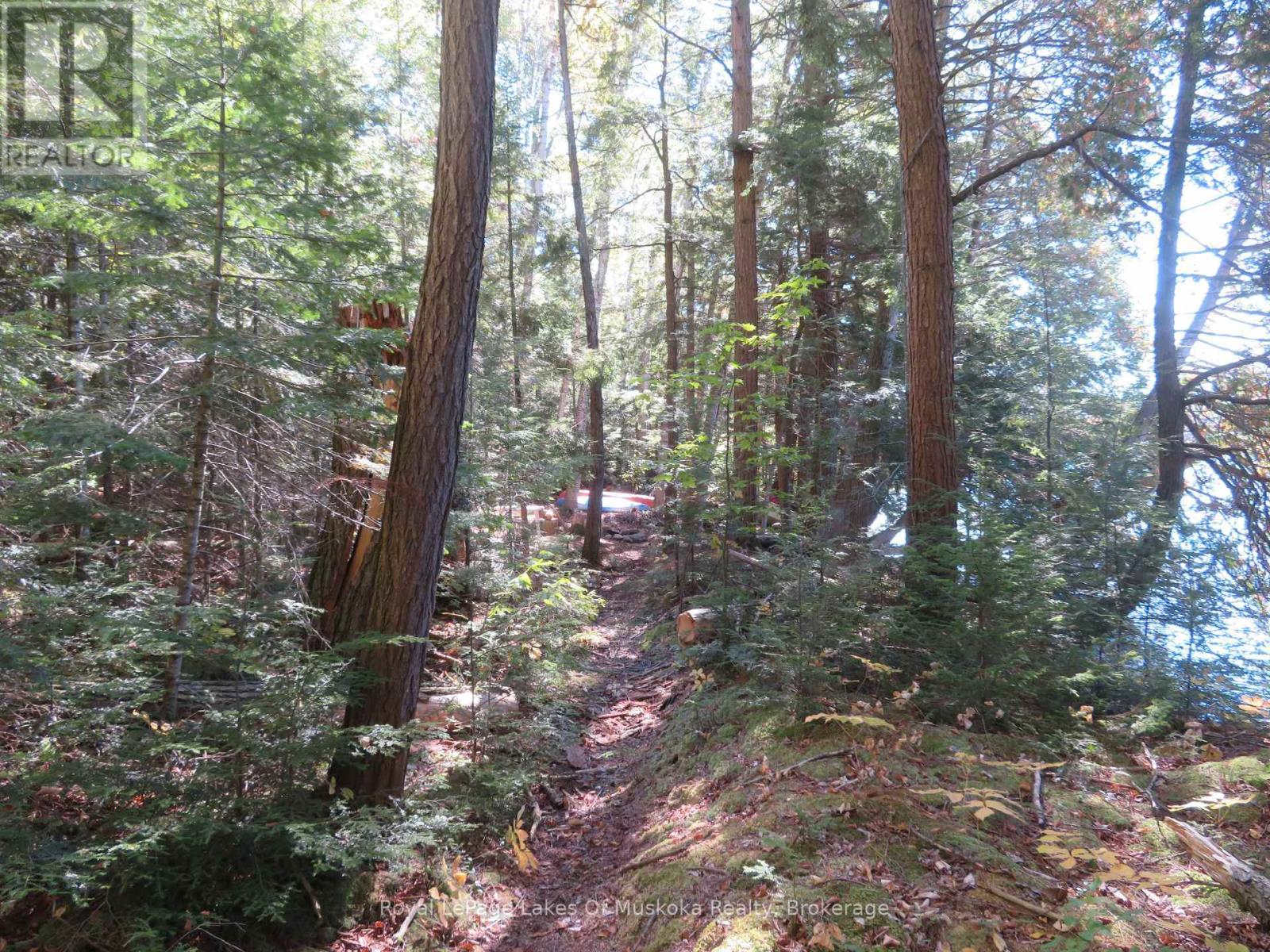 1071 Dotty Lake Road, Lake Of Bays, Ontario  P0A 1H0 - Photo 21 - X13760060