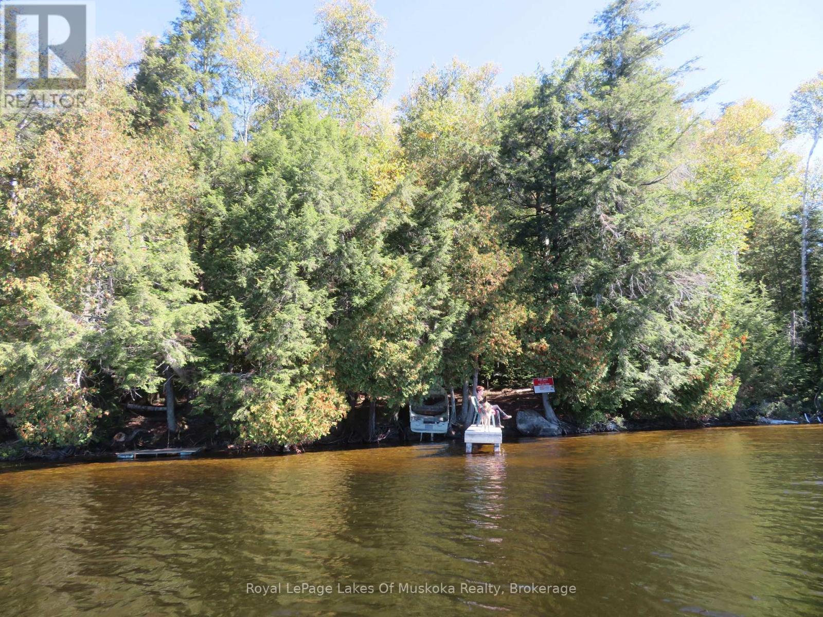 1071 Dotty Lake Road, Lake Of Bays, Ontario  P0A 1H0 - Photo 28 - X13760060