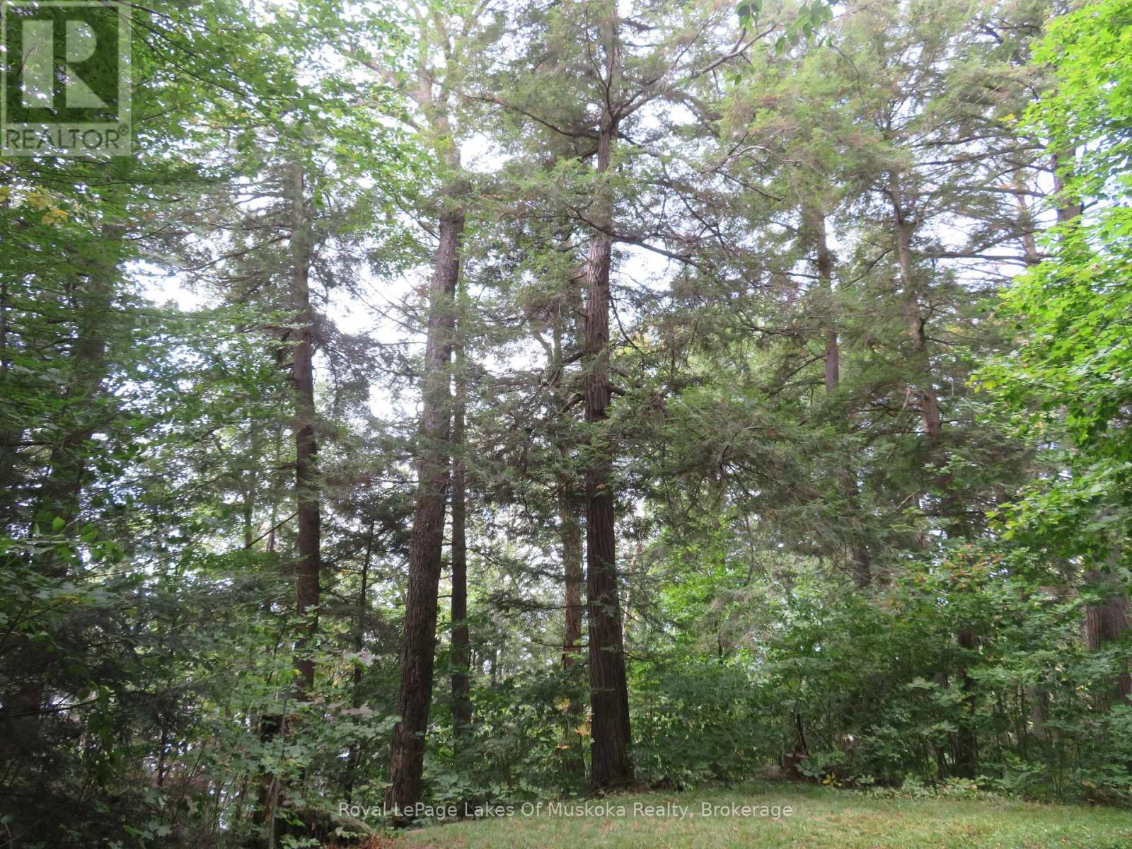 1071 Dotty Lake Road, Lake Of Bays, Ontario  P0A 1H0 - Photo 19 - X13760060
