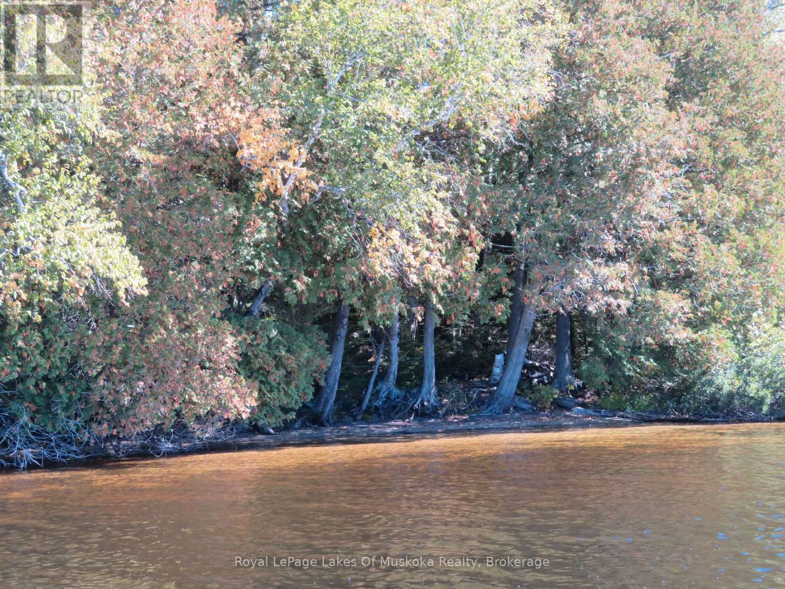 1071 Dotty Lake Road, Lake Of Bays, Ontario  P0A 1H0 - Photo 32 - X13760060
