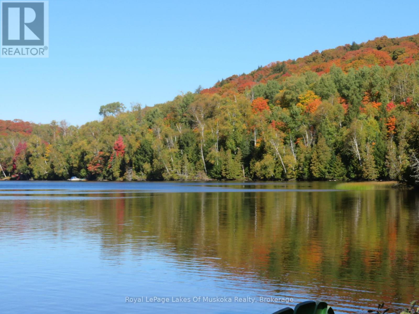 1071 Dotty Lake Road, Lake Of Bays, Ontario  P0A 1H0 - Photo 27 - X13760060