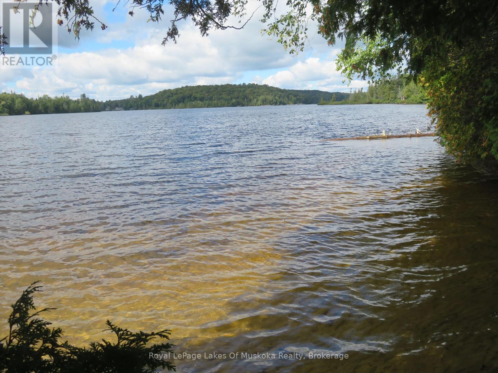 1071 Dotty Lake Road, Lake Of Bays, Ontario  P0A 1H0 - Photo 3 - X13760060