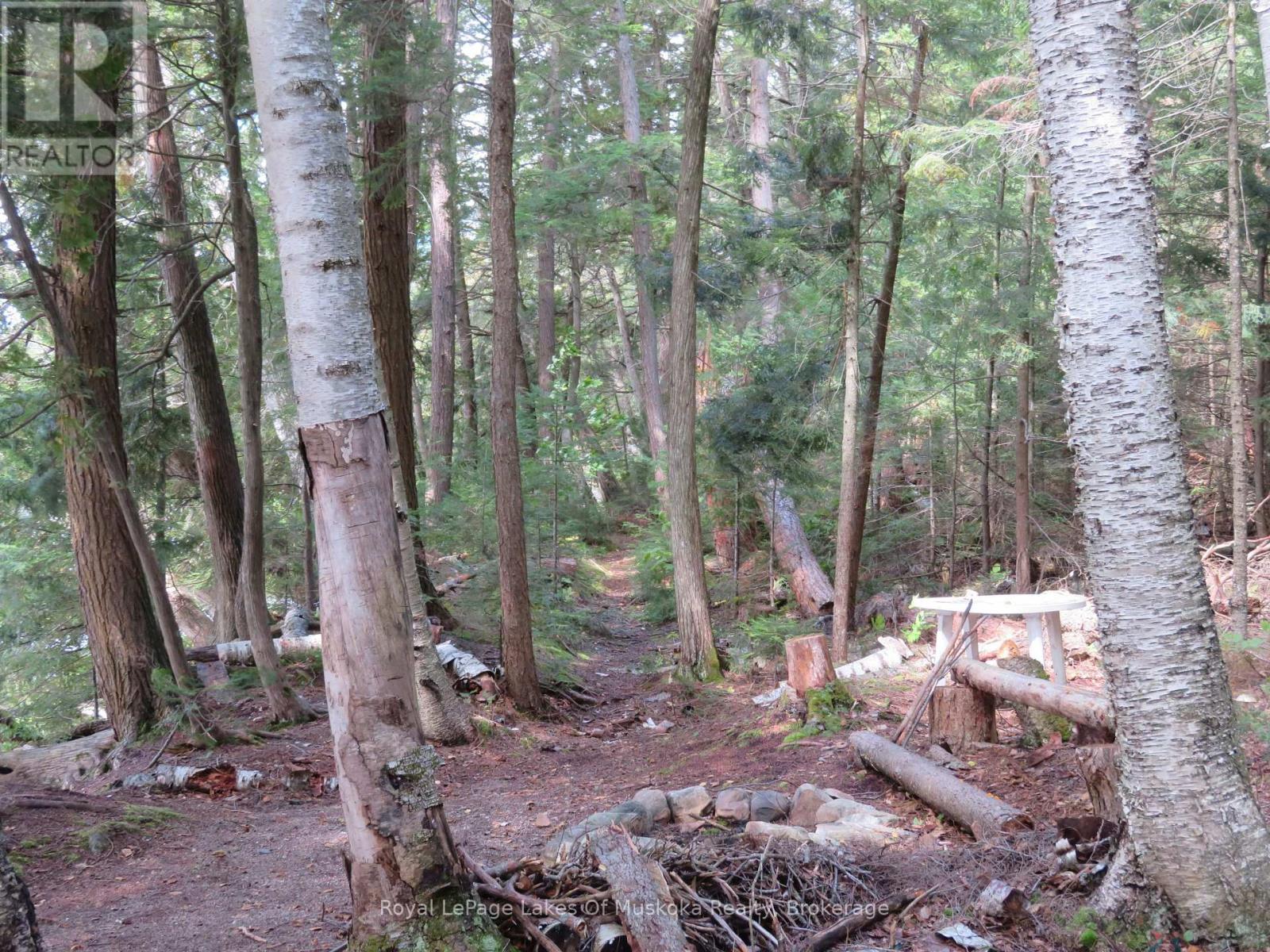 1071 Dotty Lake Road, Lake Of Bays, Ontario  P0A 1H0 - Photo 7 - X13760060