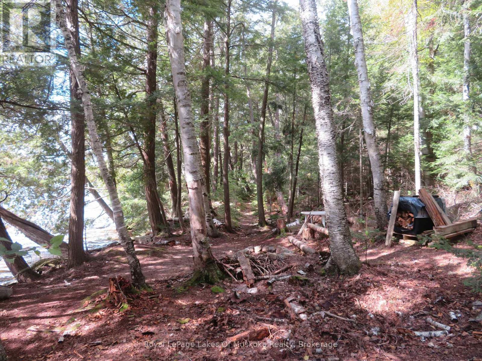 1071 Dotty Lake Road, Lake Of Bays, Ontario  P0A 1H0 - Photo 24 - X13760060