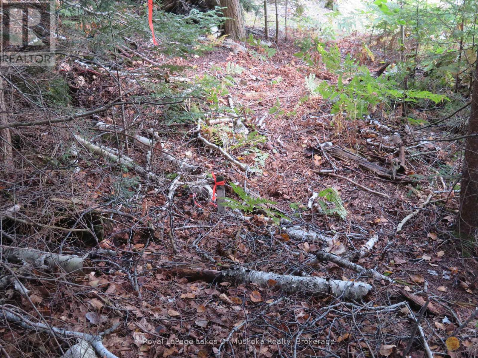 1071 Dotty Lake Road, Lake Of Bays, Ontario  P0A 1H0 - Photo 31 - X13760060