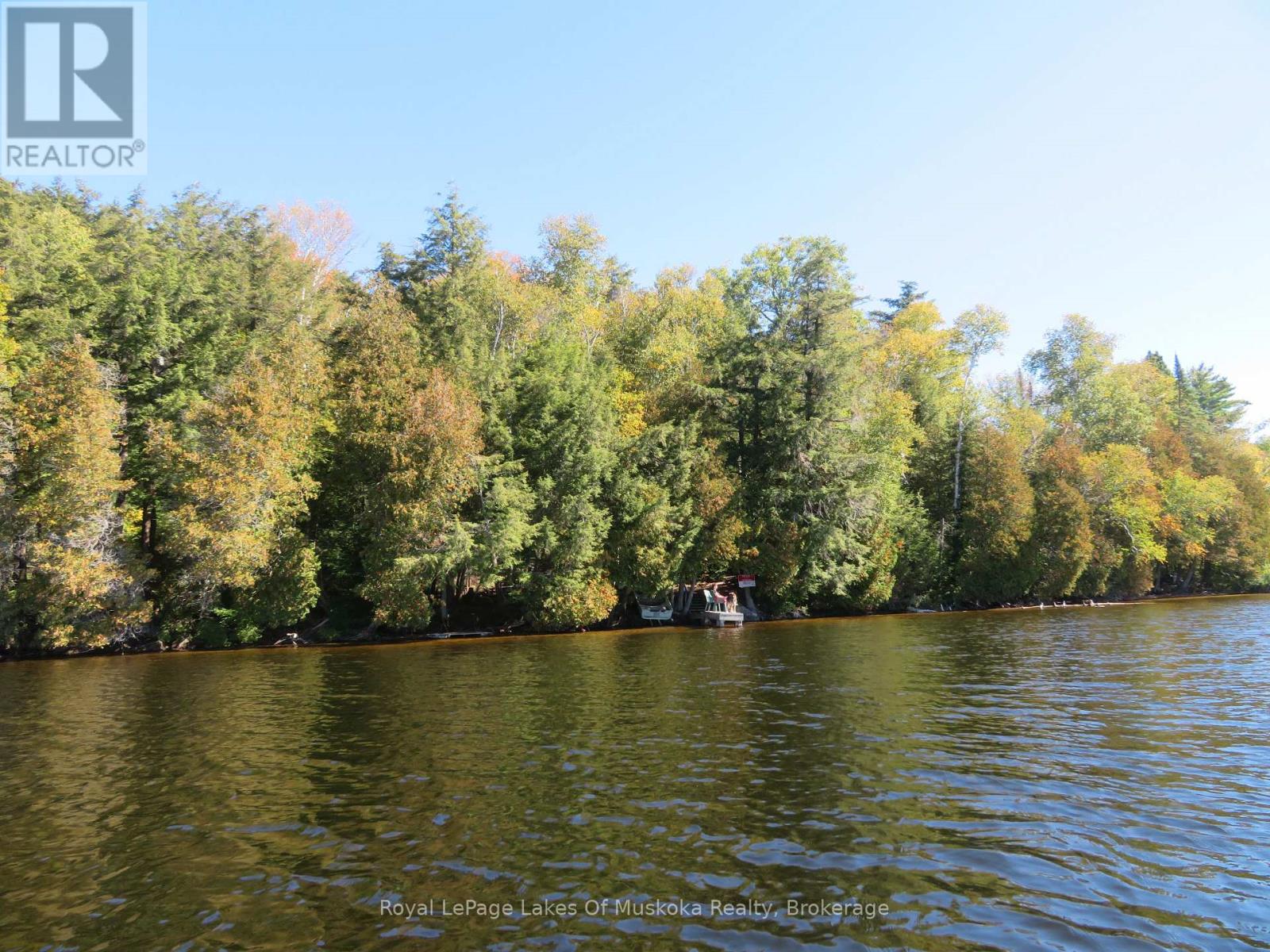 1071 Dotty Lake Road, Lake Of Bays, Ontario  P0A 1H0 - Photo 29 - X13760060