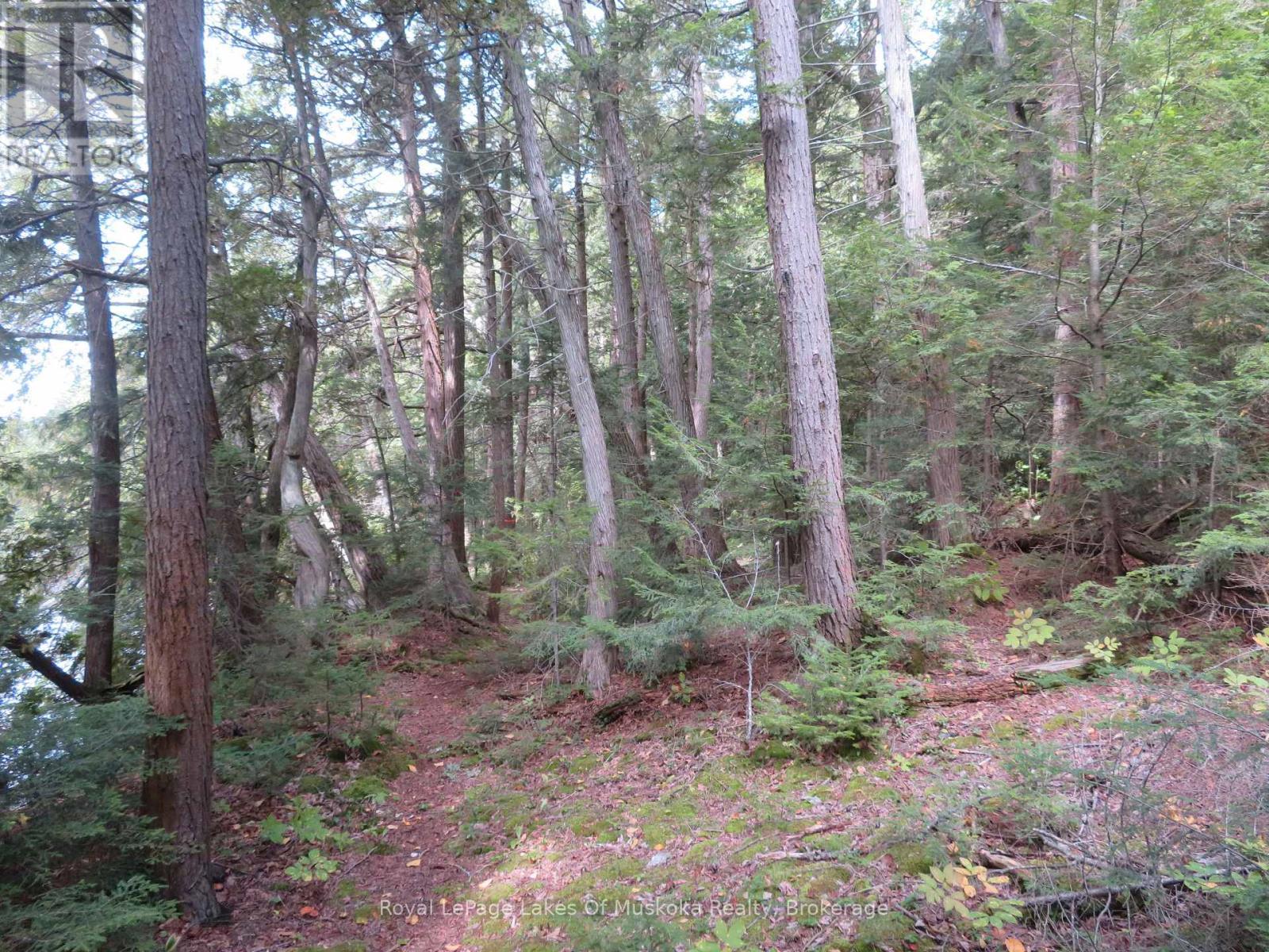 1071 Dotty Lake Road, Lake Of Bays, Ontario  P0A 1H0 - Photo 33 - X13760060