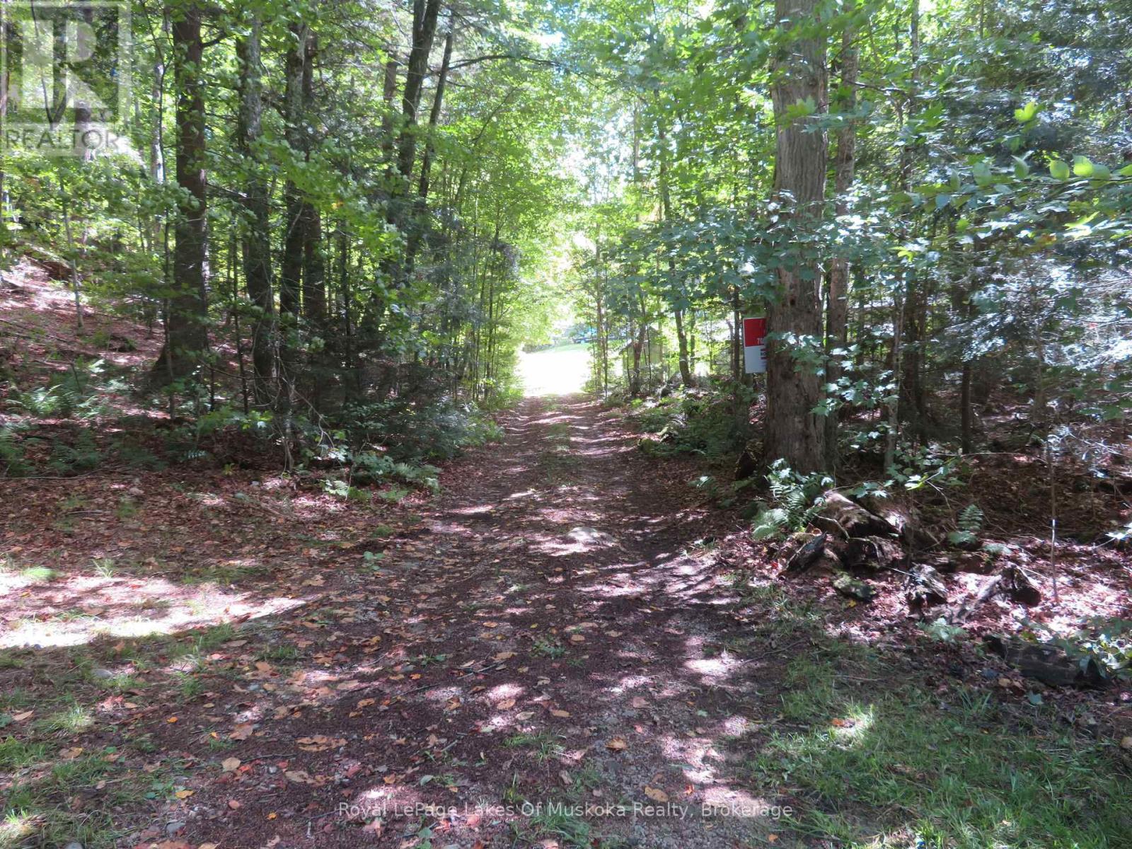 1071 Dotty Lake Road, Lake Of Bays, Ontario  P0A 1H0 - Photo 37 - X13760060