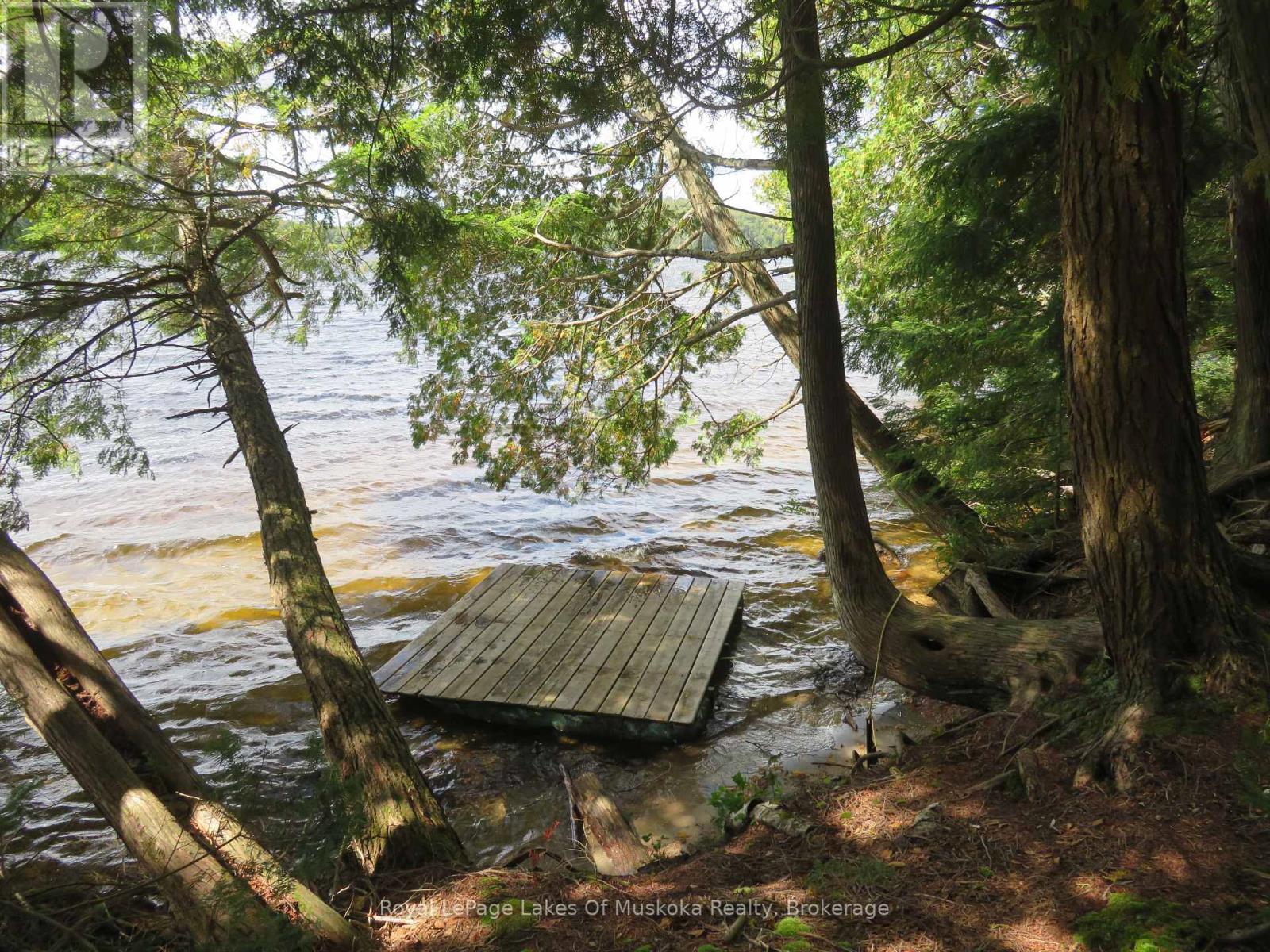 1071 Dotty Lake Road, Lake Of Bays, Ontario  P0A 1H0 - Photo 9 - X13760060