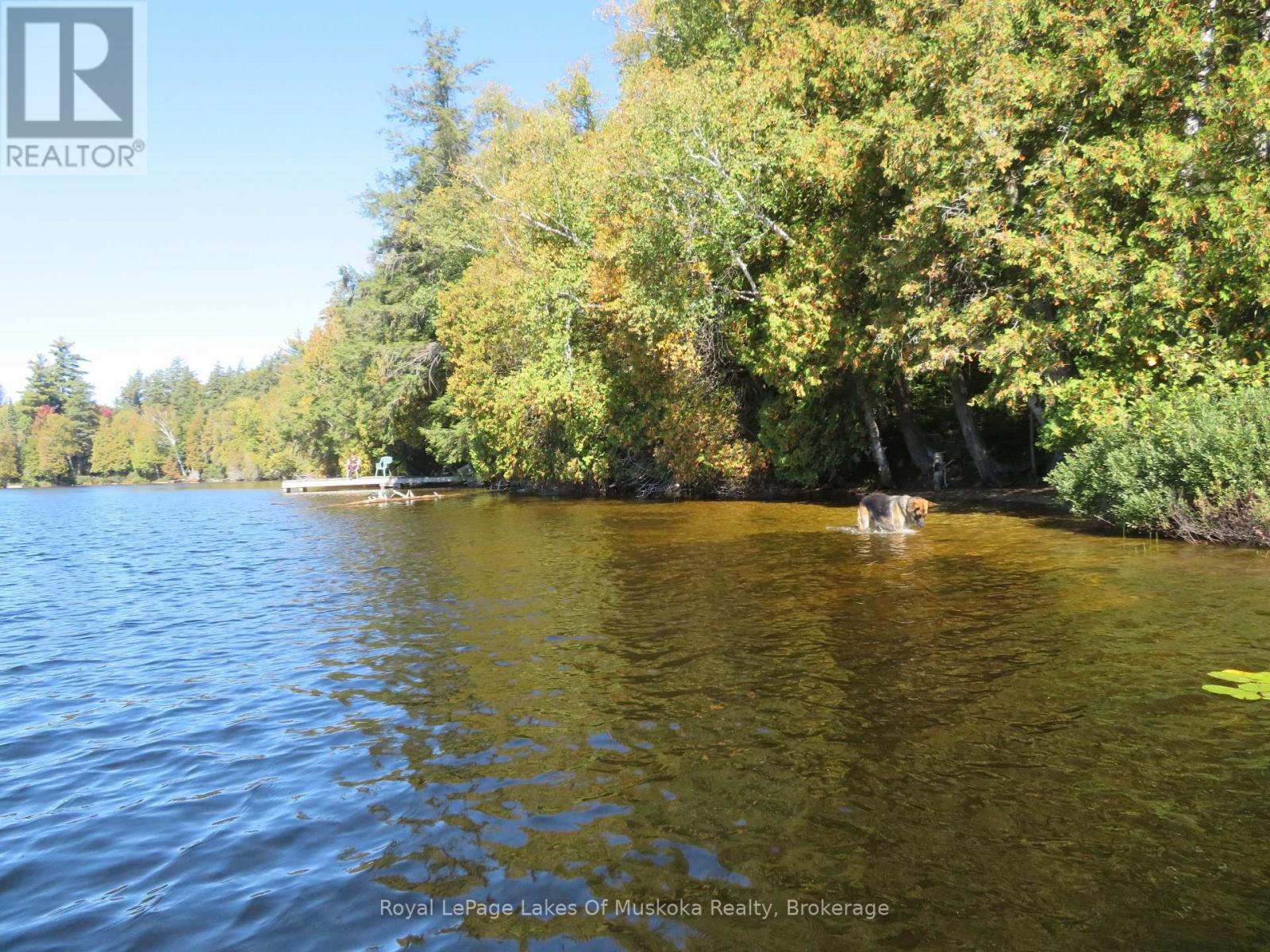 1071 Dotty Lake Road, Lake Of Bays, Ontario  P0A 1H0 - Photo 34 - X13760060