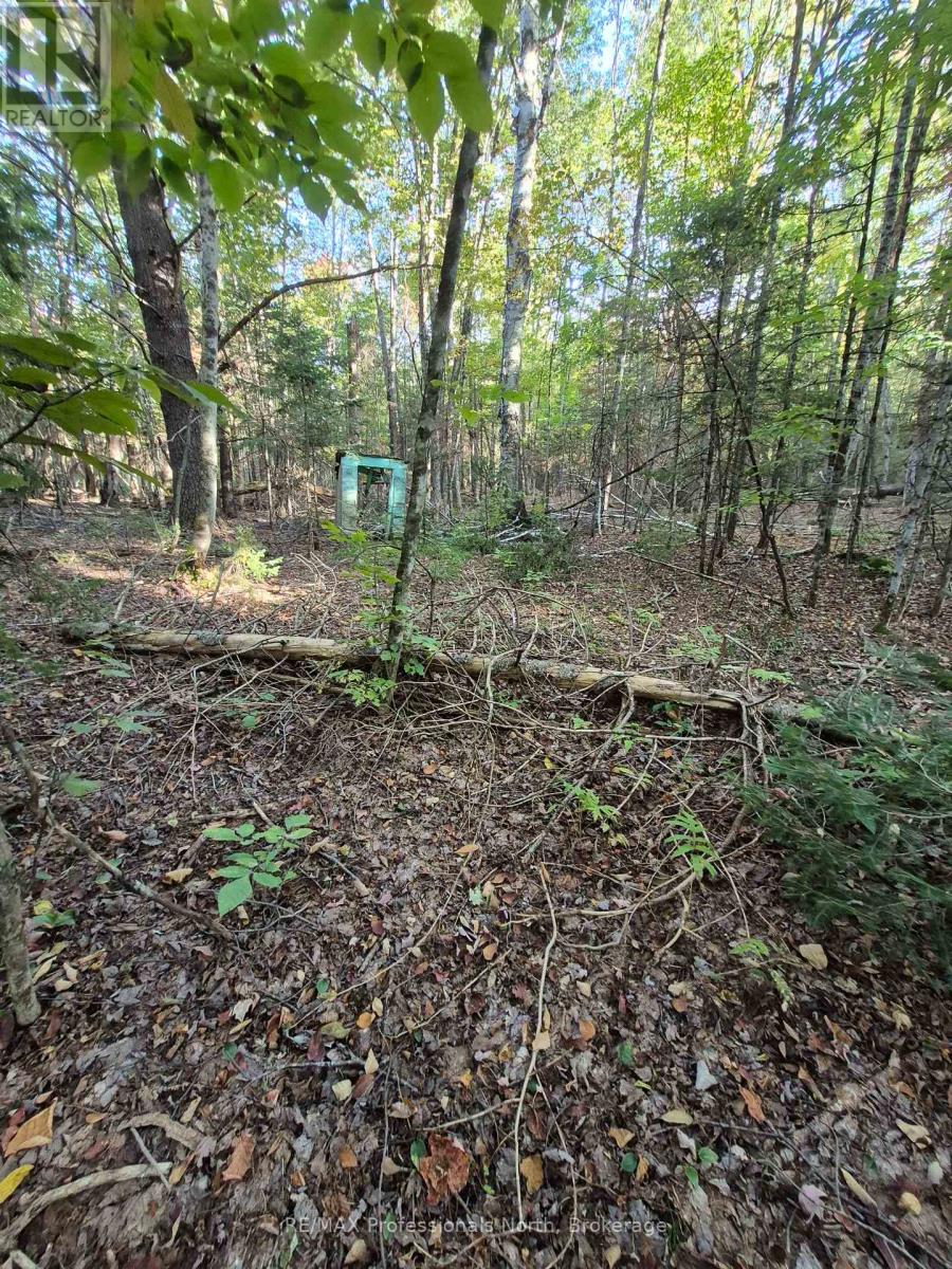 1257 Hamilton Road, Minden Hills, Ontario  K0M 2K0 - Photo 1 - X13833786