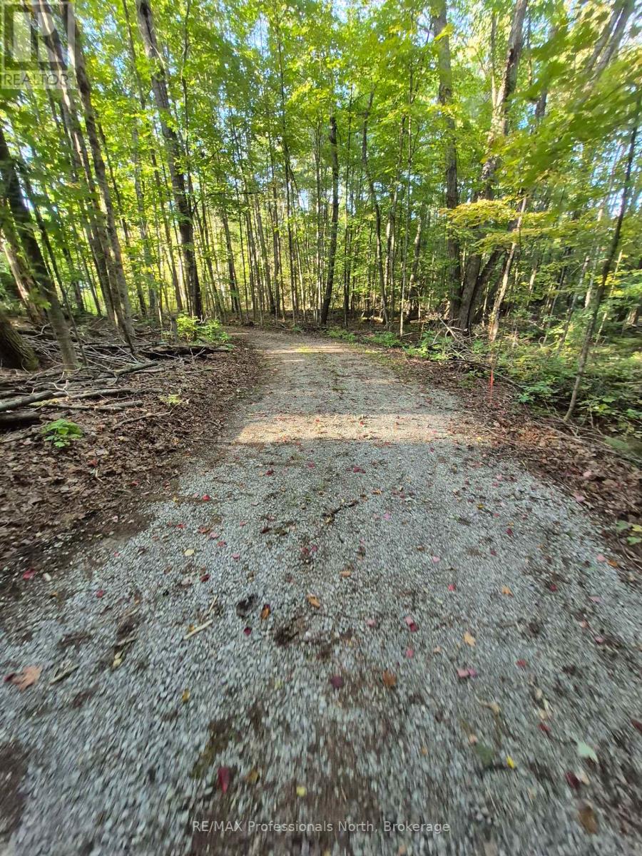 1257 Hamilton Road, Minden Hills, Ontario  K0M 2K0 - Photo 10 - X13833786
