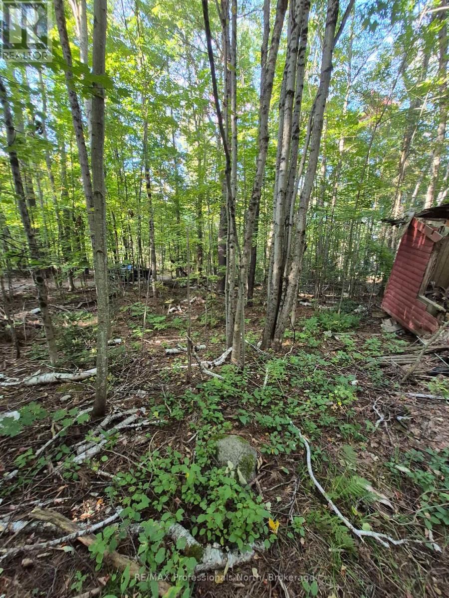 1257 Hamilton Road, Minden Hills, Ontario  K0M 2K0 - Photo 17 - X13833786