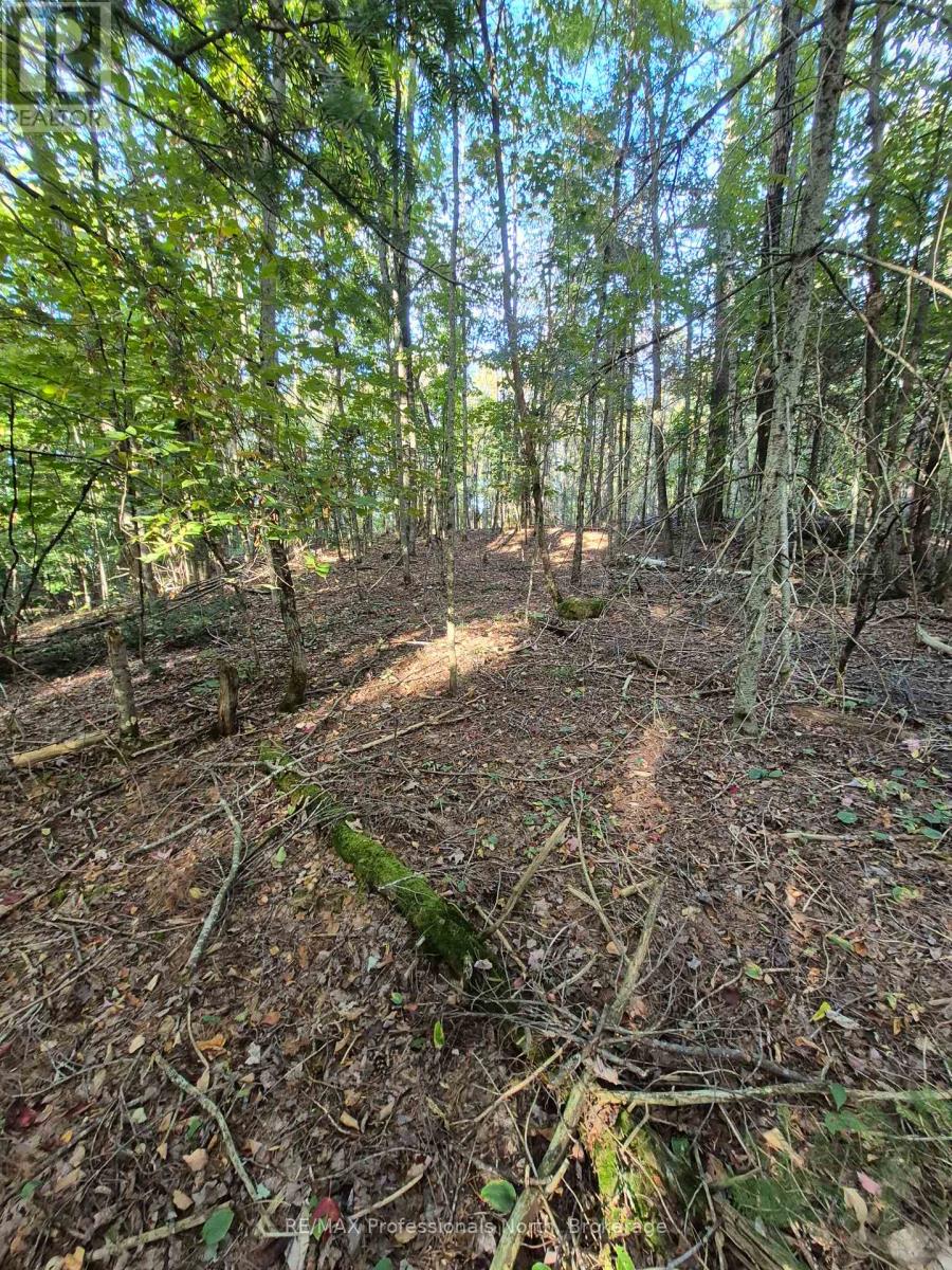 1257 Hamilton Road, Minden Hills, Ontario  K0M 2K0 - Photo 2 - X13833786