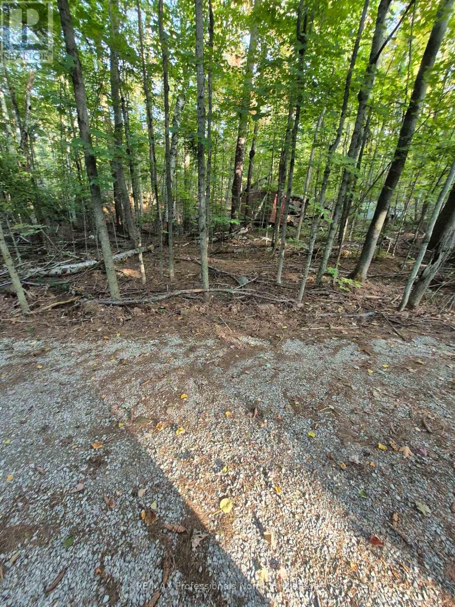 1257 Hamilton Road, Minden Hills, Ontario  K0M 2K0 - Photo 9 - X13833786