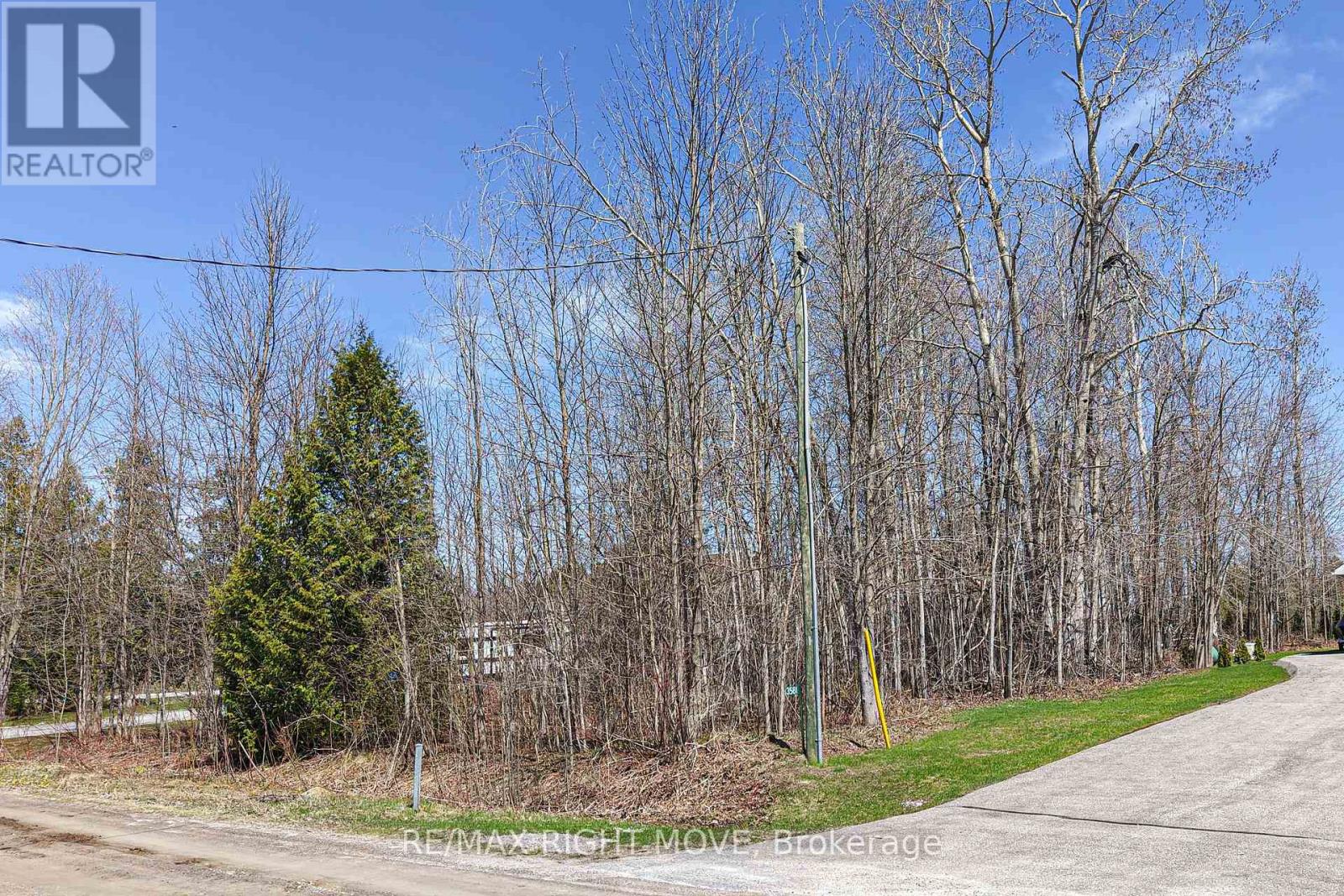 3585 Peter Street, Ramara, Ontario  L0K 1B0 - Photo 3 - S13833742