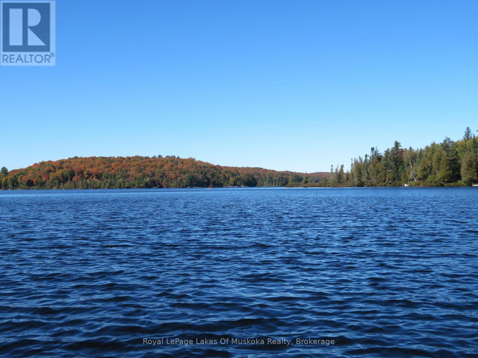 1071 Dotty Lake Road, Lake Of Bays, Ontario  P0A 1H0 - Photo 30 - X13760060