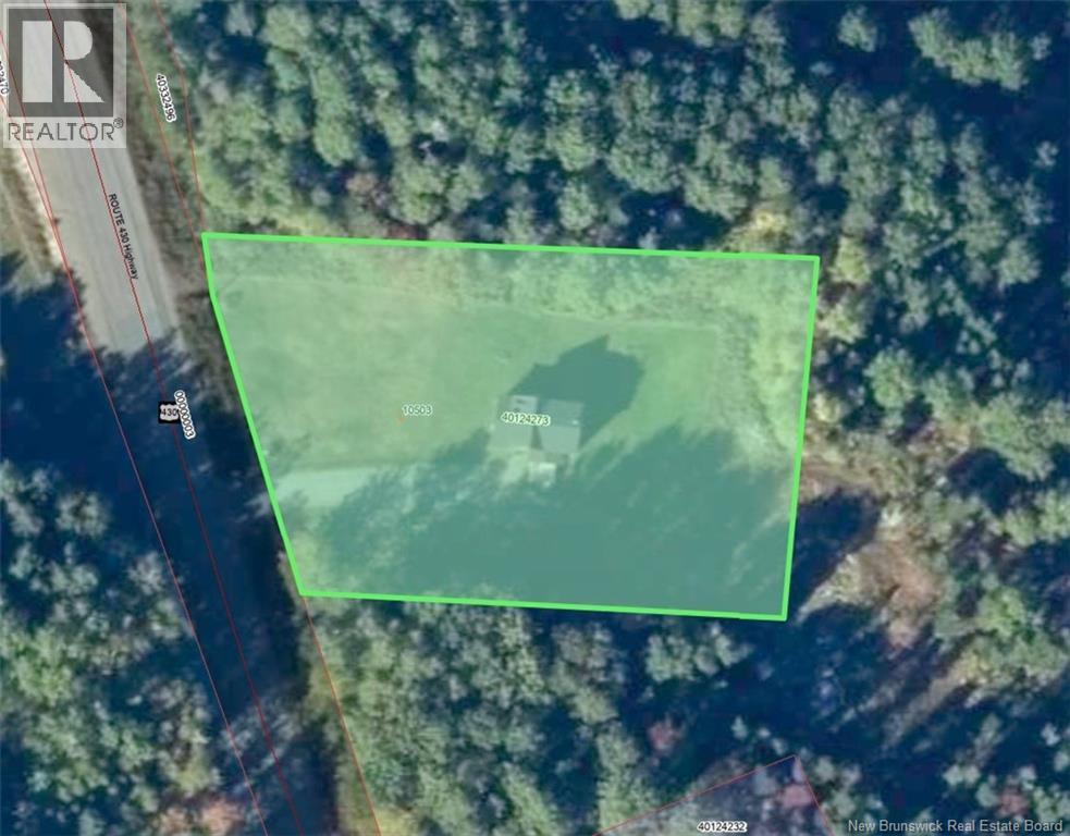 10503 Route 430 Wayerton New Brunswick Canada E9E1P4 2