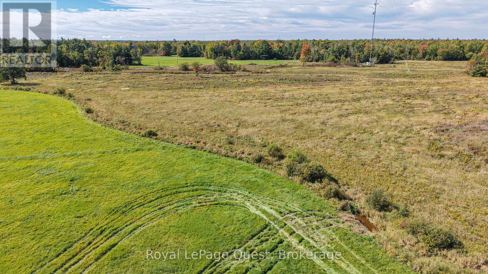 2750 Fairgrounds Road, Ramara, Ontario  L0K 2B0 - Photo 45 - S13833926