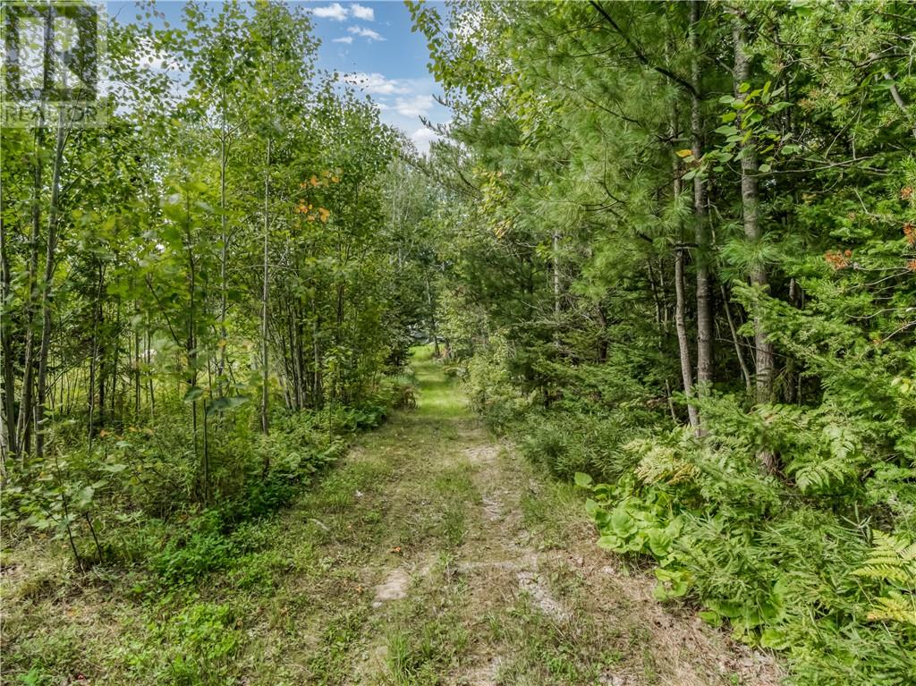 896 Red Deer Lake Road N, Wahnapitae, Ontario  P0M 3C0 - Photo 10 - 2130641
