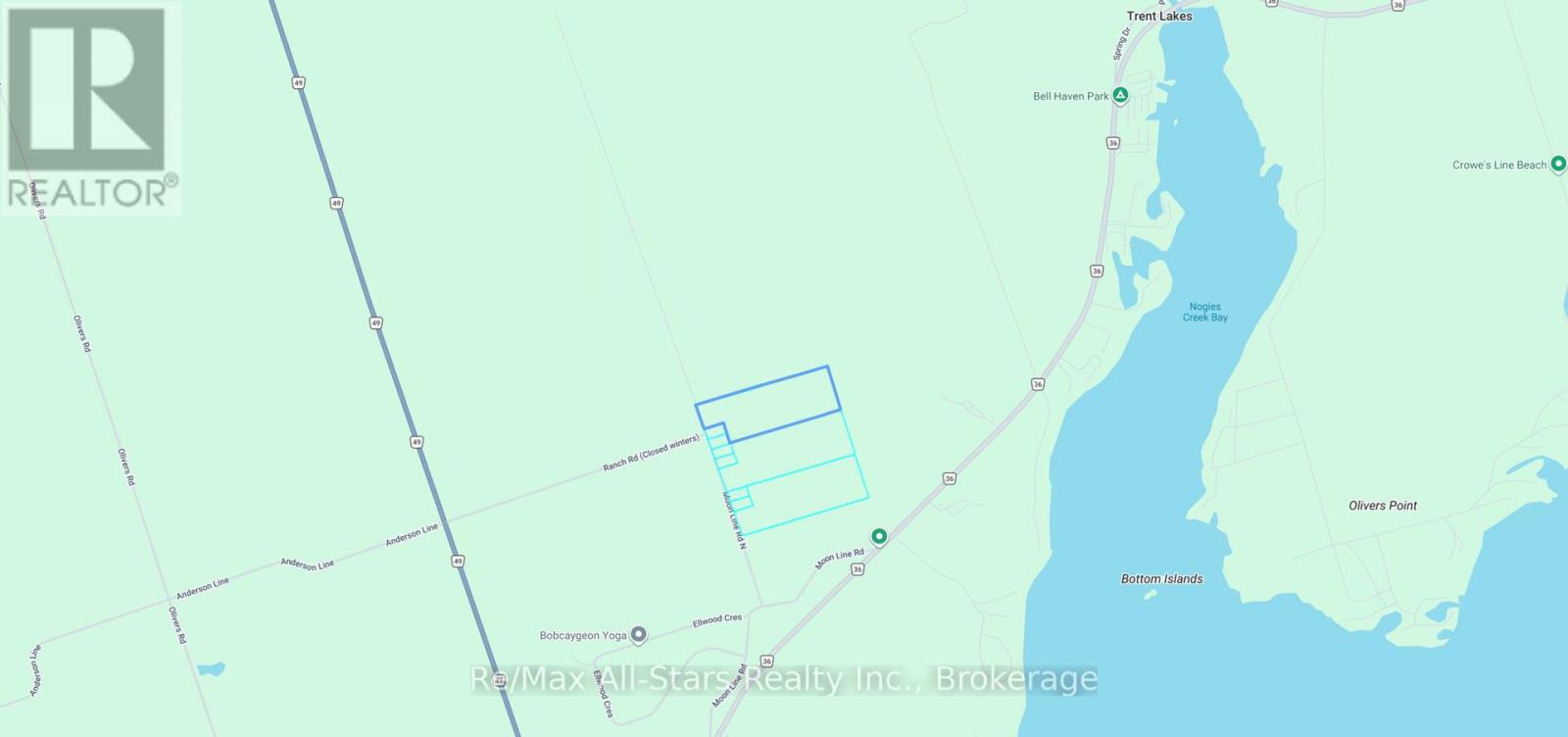 0 Moon Line Road N, Trent Lakes, Ontario  K0M 1A0 - Photo 2 - X13833992