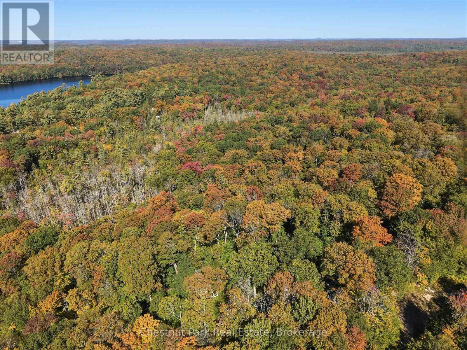 0 Estonian Camp Road, Huntsville, Ontario P0B 1L0 - Photo 14 - X13834346