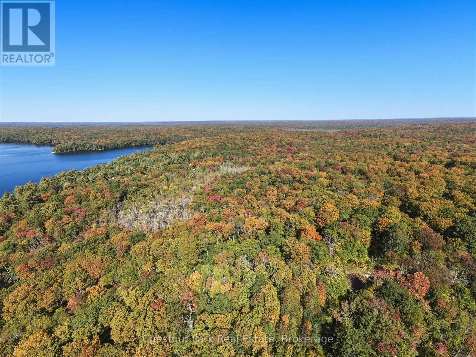 0 Estonian Camp Road, Huntsville, Ontario P0B 1L0 - Photo 15 - X13834346