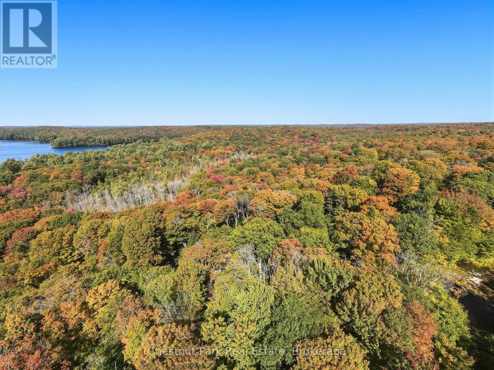 0 Estonian Camp Road, Huntsville, Ontario P0B 1L0 - Photo 16 - X13834346