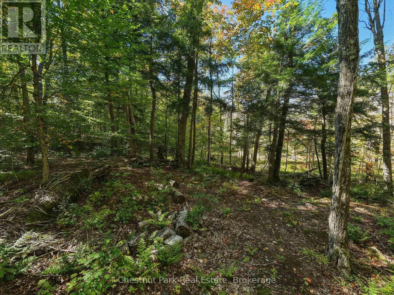 0 Estonian Camp Road, Huntsville, Ontario P0B 1L0 - Photo 4 - X13834346